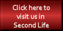 Second Life Registration